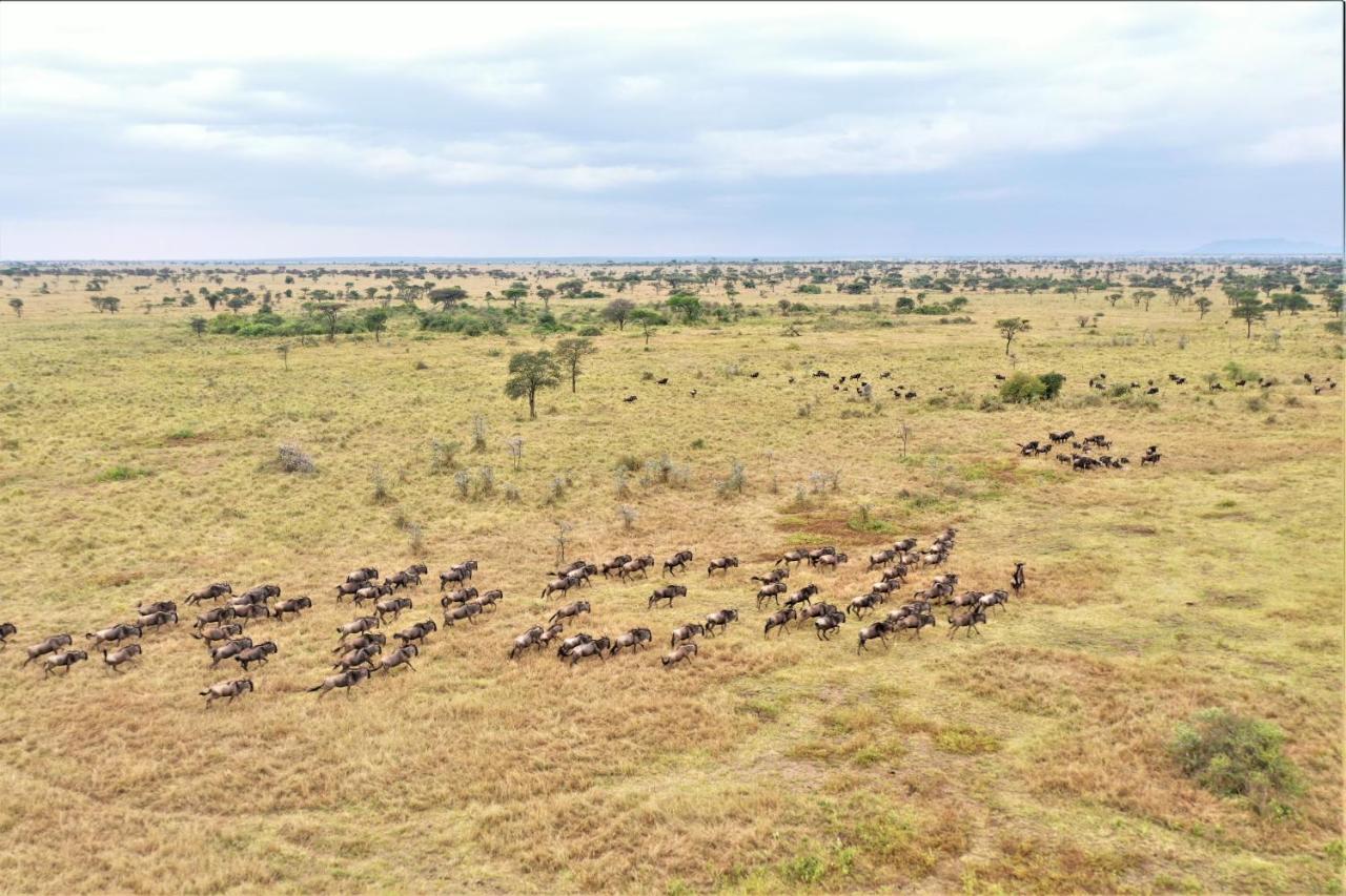 Africa Safari Serengeti Ikoma Camping Hotel Exterior photo