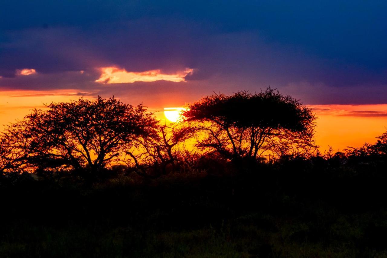 Africa Safari Serengeti Ikoma Camping Hotel Exterior photo